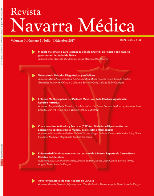 					Ver Vol. 3 Núm. 2 (2017): Revista Navarra Médica
				