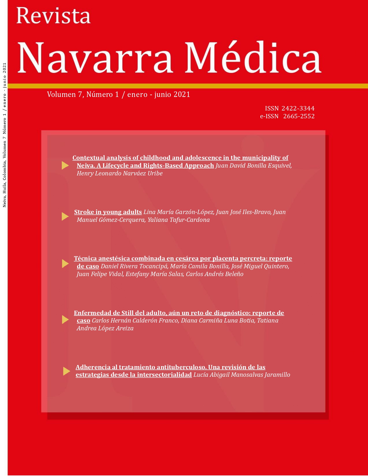 					Ver Vol. 7 Núm. 1 (2021): Revista Navarra Médica
				