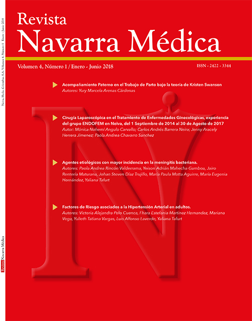 					View Vol. 4 No. 1 (2018): Revista Navarra Médica
				