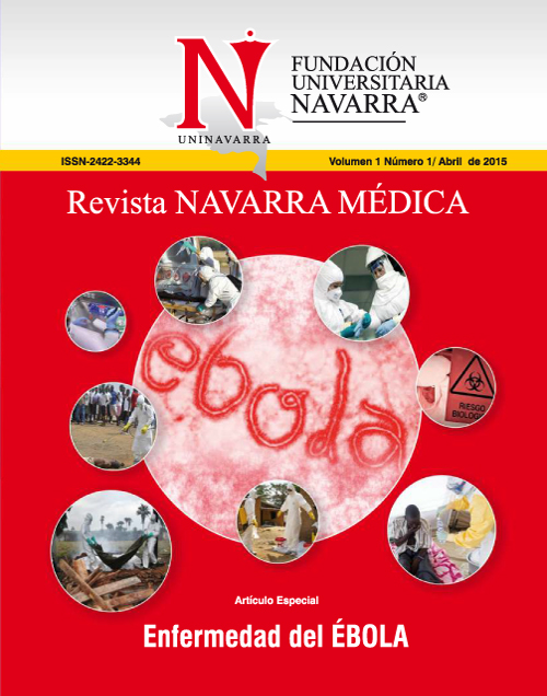					View Vol. 1 No. 1 (2015): Revista Navarra Médica
				